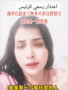 布衣灭亡案件带有